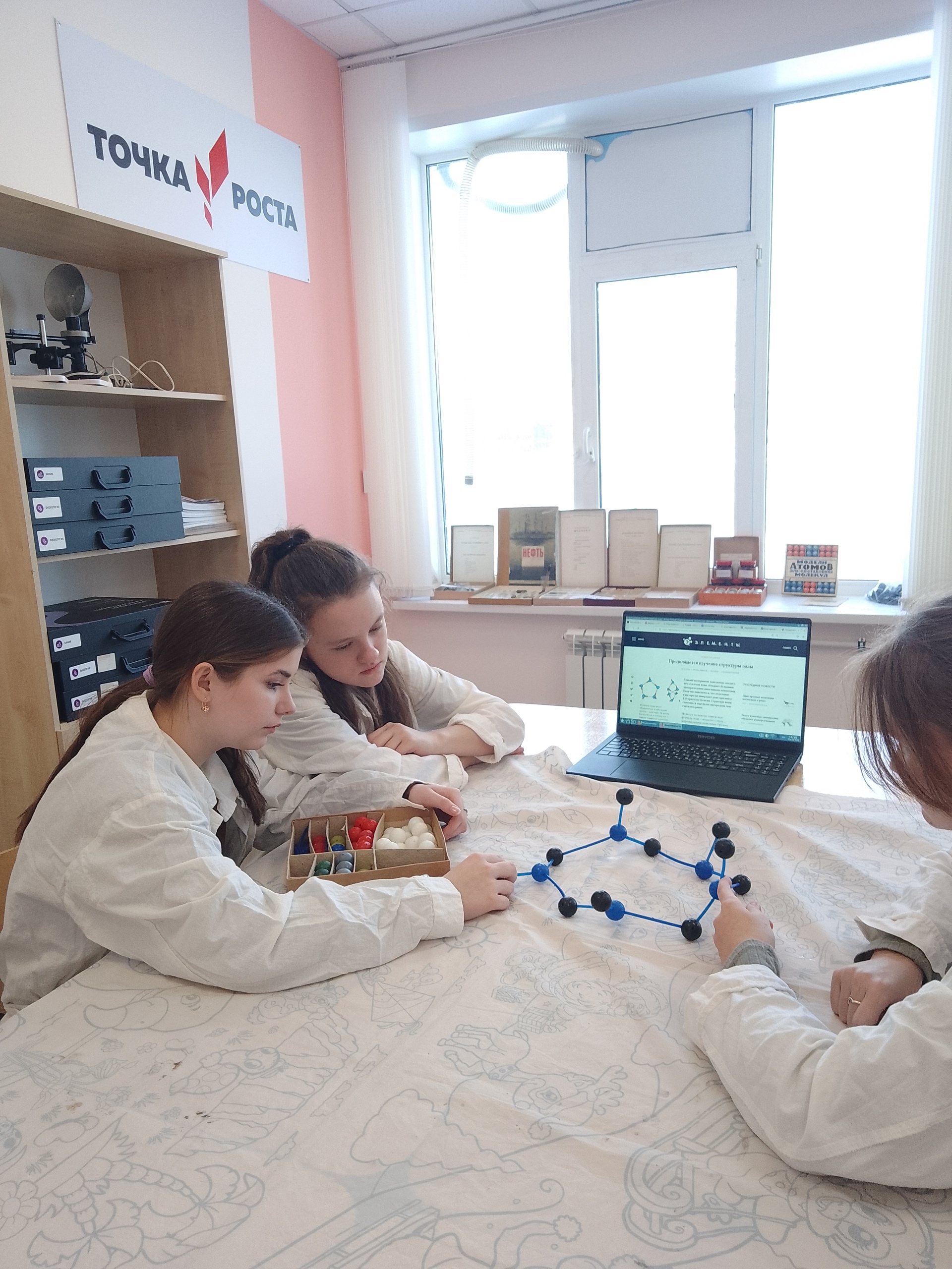 Точка роста помогает выяснить электропроводность и рН воды..